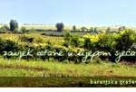 New Investments in Wine Roads of Slavonija and Baranja
